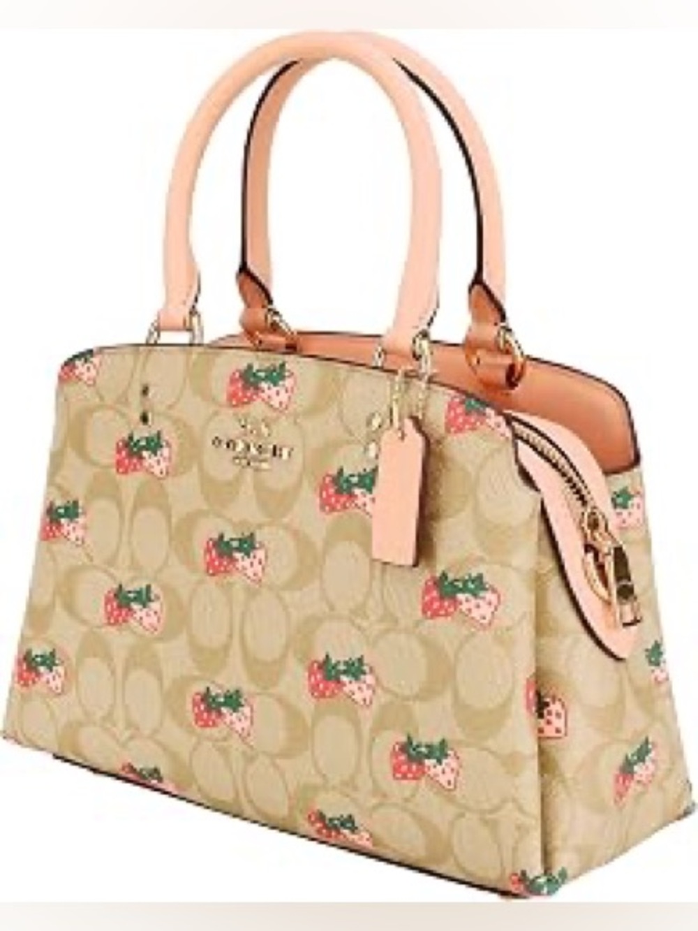 🍓🍓🍓 MINI LILLIE CARRYALL IN SIGNATURE CANVAS WITH STRAWBERRY PRINT